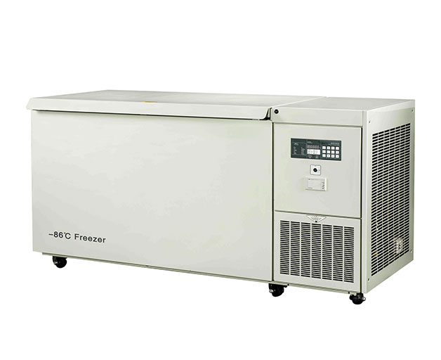 DW-HW668 large capacity chest freezer