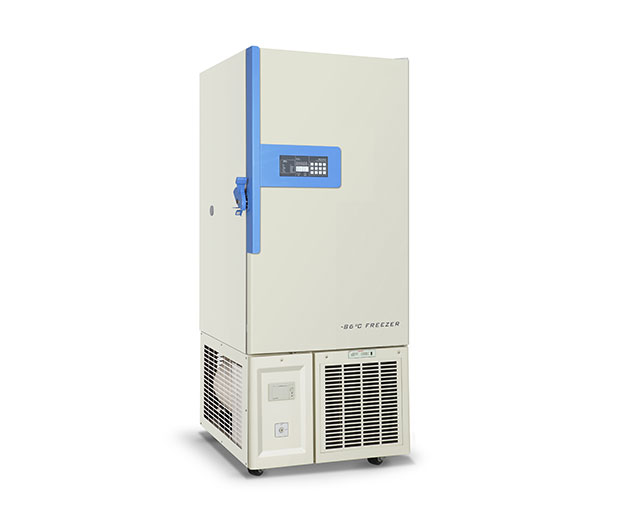DW-HL218 deep freezer energy efficient