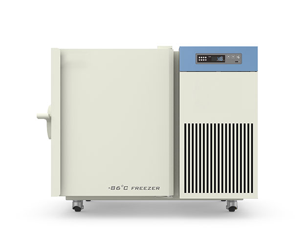 DW-HL50 mini ultra low freezer