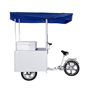 Solar Ice Cream Tricycle