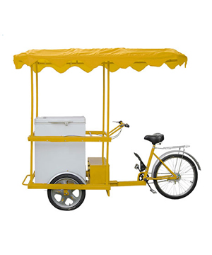 Solar Ice Cream Tricycle